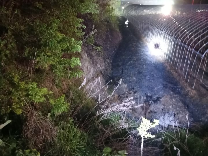 [장흥=뉴시스] 30일 오후 7시24분께 전남 장흥군 대덕읍 한 야산에서 불이 나 산림당국에 의해 42분 만에 꺼졌다. (사진 = 전남소방본부 제공) 2026.04.30. photo@newsis.com *재판매 및 DB 금지