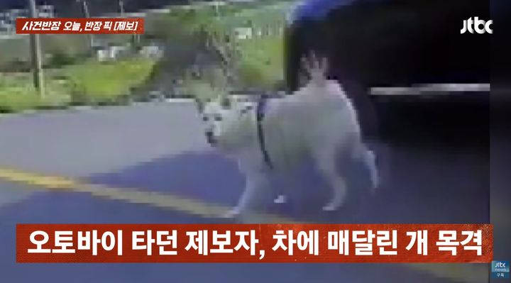 [서울=뉴시스] 차량 밖으로 개를 목줄에 묶은 채 빠른 속도로 운전한 중년 여성의 행동이 알려지면서 논란이 확산하고 있다. (사진=JTBC '사건반장' 캡처) *재판매 및 DB 금지