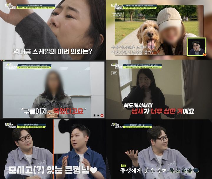 [서울=뉴시스]'탐정들의 영업비밀'(사진=채널A 제공) 2026.05.03. photo@newsis.com *재판매 및 DB 금지