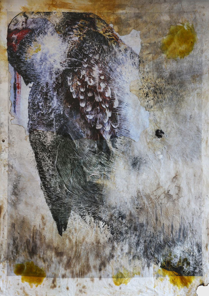 조선희, Frozen Gaze_Residue, 145x205Archival pigment print, 2026 *재판매 및 DB 금지