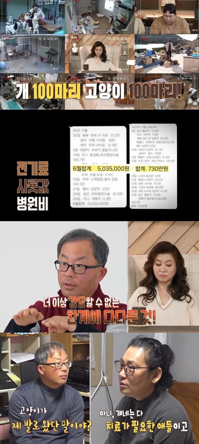 개·고양이 보호에 10억 날린 아내 "내 잘못 아니잖아"