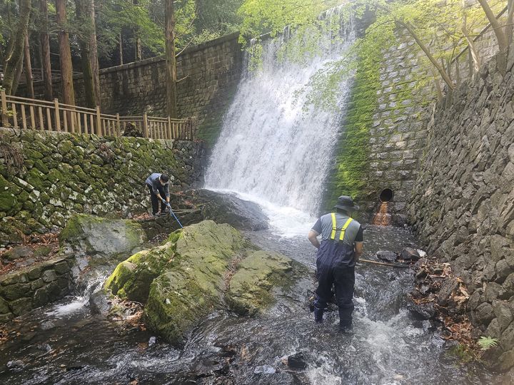 [부산=뉴시스] 어린이대공원 벽천 곡수로 정비 전경 (사진=부산시설공단 제공) 2026.05.04. photo@newsis.com *재판매 및 DB 금지