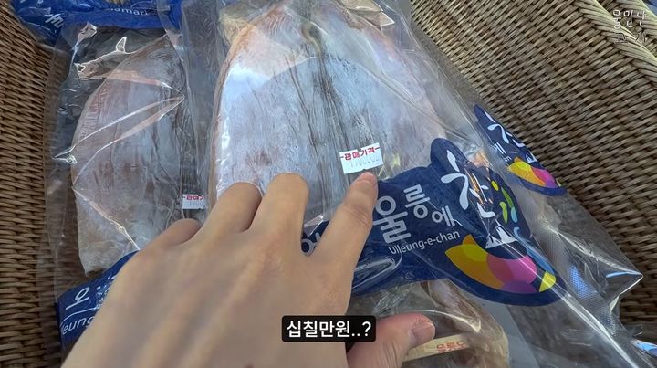 [서울=뉴시스] 울릉도에서 오징어 8~10마리를 17만원에 판매한다는 사실이 알려지면서 가격을 둘러싼 논란이 발생했다. (사진=유튜브 '물만난고기' 채널 캡처)