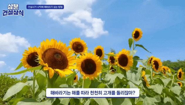 사막 위 태양광 발전소…韓 건설사 기술 눈길[짤막영상]
