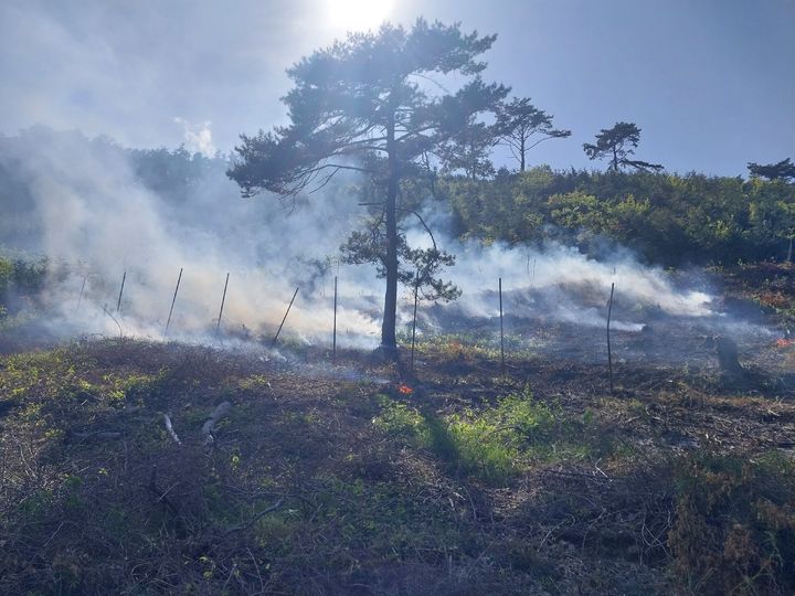 [나주=뉴시스] 4일 오후 3시35분께 전남 나주시 다시면 한 야산에서 불이 나고 있다. (사진=전남소방본부 제공) 2026.05.04. photo@newsis.com *재판매 및 DB 금지