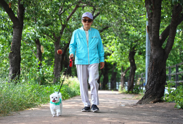 [서울=뉴시스] 전문가들은 하루 20~30분 정도의 빠르게 걷는 활동으로도 노년기 만성질환 위험을 크게 낮출 수 있다고 조언한다. (사진=유토이미지) 2026.05.04. *재판매 및 DB 금지