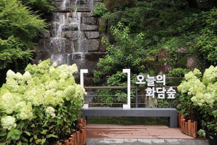 경기 광주시 ‘화담숲’의 수국. (사진=한국관광공사) *재판매 및 DB 금지
