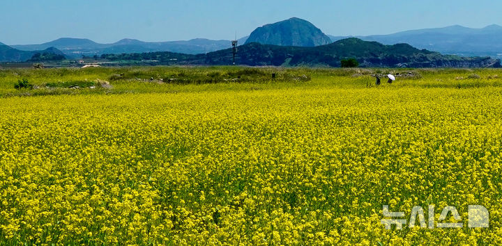 울산, 아침엔 9도·낮엔 25도…"큰 일교차 주의"