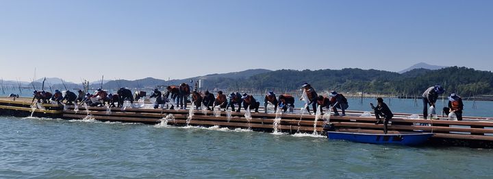 [무안=뉴시스] 전남도 수산자원 방류사업. (자료사진 = 전남도 제공). 2026.05.06. photo@newsis.com *재판매 및 DB 금지