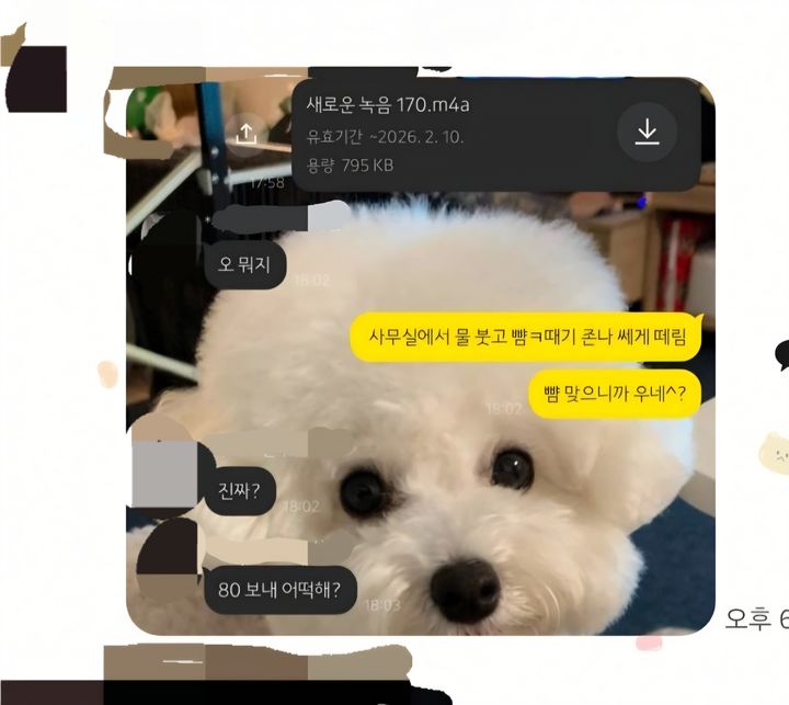 [인천=뉴시스] 인천시의회 공무원 A씨가 동료 공무원 B씨를 폭행한 뒤 카카오톡 대화방에 올린 글. (사진=독자 제공) 2026.05.06. photo@newsis.com *재판매 및 DB 금지