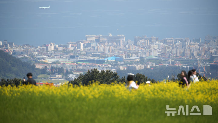 [제주=뉴시스] 우장호 기자 = 맑은 날씨를 보인 6일 오전 제주시 오라동 중산간 청보리밭을 찾은 관광객들이 밭 한켠에 조성된 유채꽃 사이에서 인생샷을 남기며 초여름 정취를 만끽하고 있다. 2026.05.06. woo1223@newsis.com