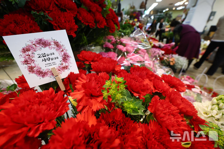 [서울=뉴시스] 김명년 기자 = 카네이션이 어버이날을 상징하는 꽃이 된 이유는 100여년 전 미국으로 거슬러 올라간다. 2026.05.06. kmn@newsis.com