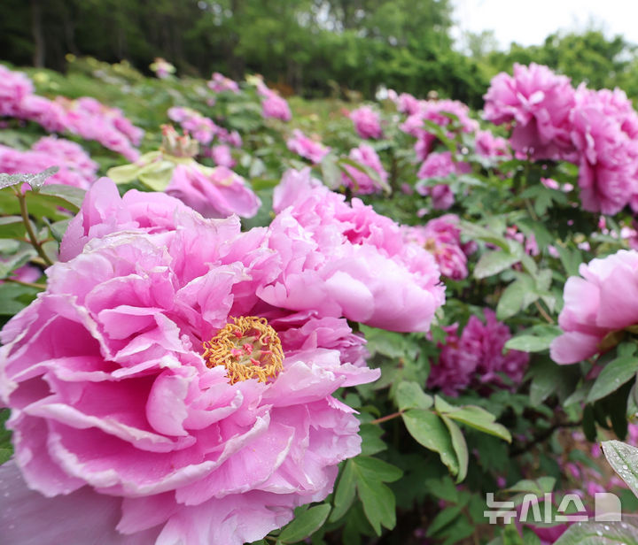 울산, 맑다가 오후부터 구름 많음…낮 최고 25도