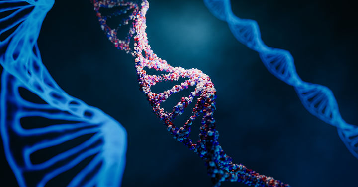 DNA 사슬 관련 참고용 이미지. (사진=유토이미지) *재판매 및 DB 금지