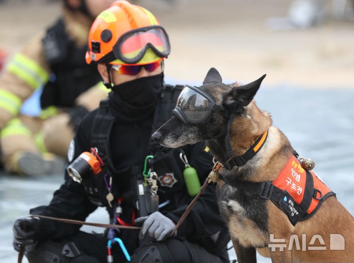 [의정부=뉴시스] 119구조견 태공. (사진=경기도북부소방재난본부 제공) 2026.05.08 photo@newsis.com
