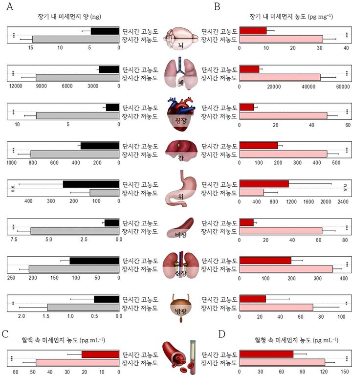 장기 및 순환계 내 미세먼지 분포 추이. 장기간-저농도 노출과 단기간-고농도 노출을 비교했다. (사진=KIST 제공( *재판매 및 DB 금지