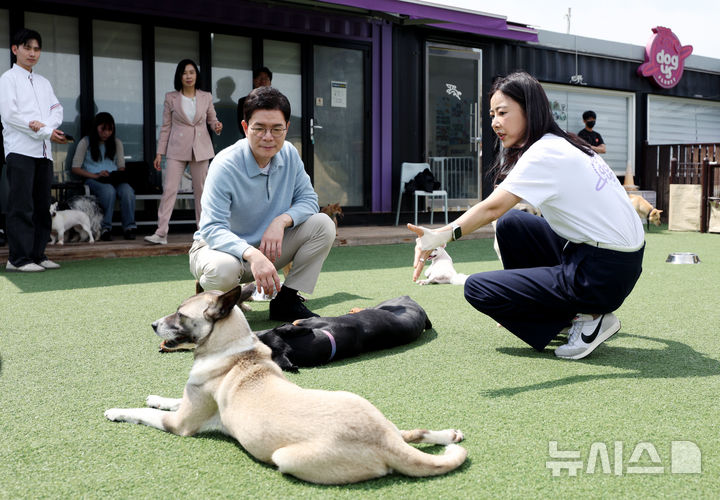 [서울=뉴시스] 김진아 기자 = 정원오 더불어민주당 서울시장 후보가 10일 서울 동대문구 도그어스플래닛에서 진행된 '정원오가 간다-찾아가는 서울人터뷰 반려동물편'에서 김효진 도그어스플래닛 대표와 강아지들의 상태를 살피고 있다. 2026.05.10. bluesoda@newsis.com