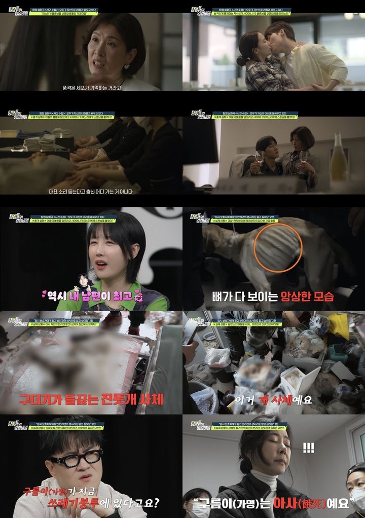 [서울=뉴시스]'탐정들의 영업비밀'(사진=채널A 제공) 2026.05.12. photo@newsis.com *재판매 및 DB 금지