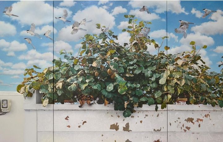 조현정, 키위나무, 2025, Oil on linen, 116.8x181cm *재판매 및 DB 금지