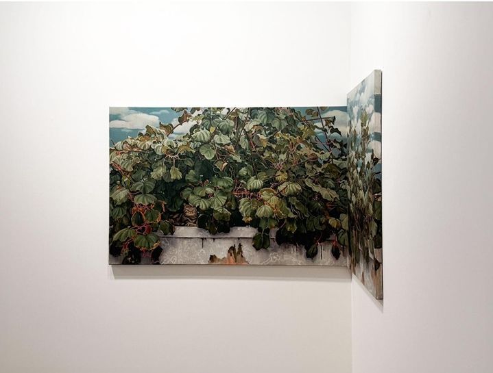 조현정, 키위나무, 2026. Oil on linen, 60.9x90.9cm & 65.1x53cm *재판매 및 DB 금지