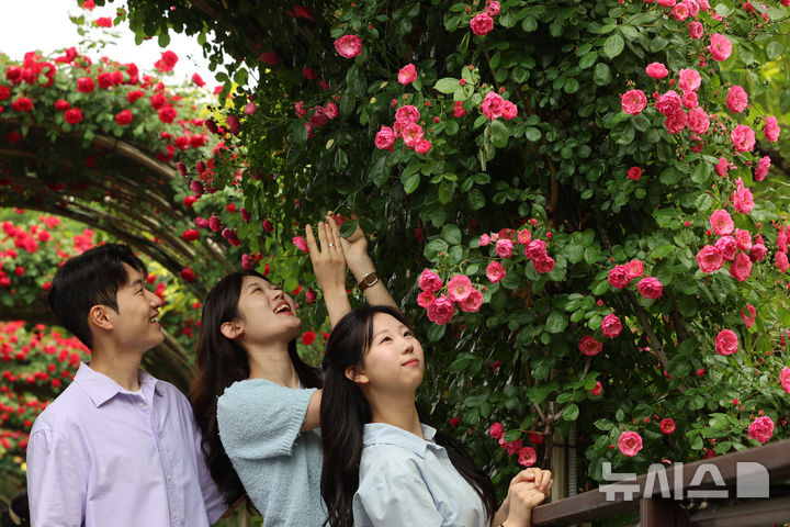 [서울=뉴시스] 조성우 기자 = 제18회 중랑 서울장미축제 개막을 사흘 앞둔 12일 서울 중랑구 수림대공원에서 시민들이 장미터널을 산책하고 있다. 2026.05.12. xconfind@newsis.com