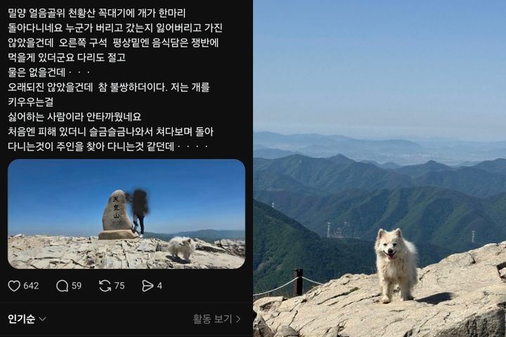 [서울=뉴시스] 천황산 정상에서 발견된 강아지 제보글(사진출처: 스레드 /'영남알프스 완등 인증' 앱)