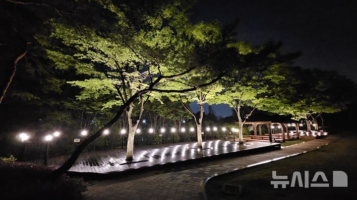 [김포소식]태산패밀리파크 야간경관 '조명 설치' 완료 등