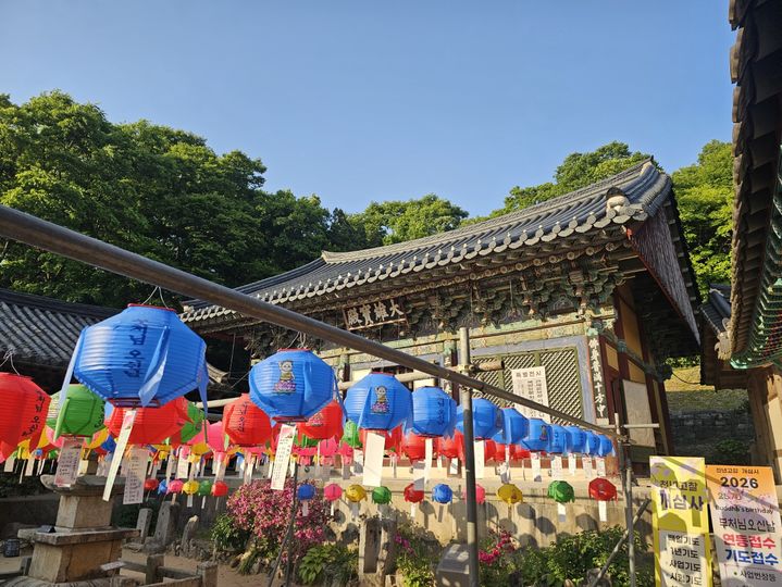 대전·세종·충남 낮 최고 31도 무더위…미세먼지 '좋음'