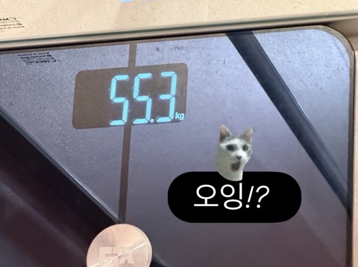 박수홍 아내 김다예 55㎏ 됐다…90㎏에서 다이어트