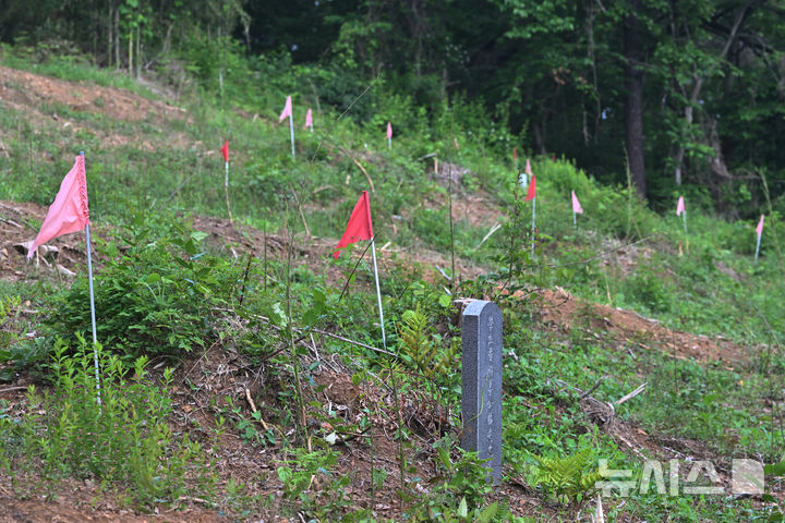 [광주=뉴시스] 이영주 기자 = 13일 오전 광주 북구 효령동 한 야산 5·18민주화운동 희생자들이 암매장 된 것으로 추정된 장소 내 발굴 목표 위치마다 깃발이 꽂혀 있다.2026.05.13.leeyj2578@newsis.com