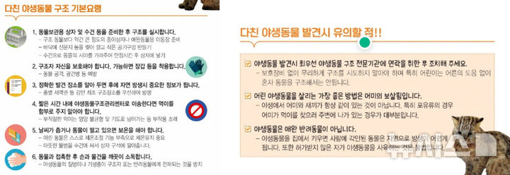[광주=뉴시스] 야생동물 구조 방법. (사진=광주보건환경연구원 제공). photo@newsis.com *재판매 및 DB 금지