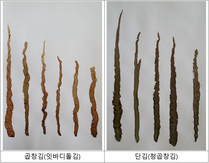[서울=뉴시스] 곱창김과 단김 비교. (사진=해양수산부 제공) 2026.05.14 photo@newsis.com *재판매 및 DB 금지