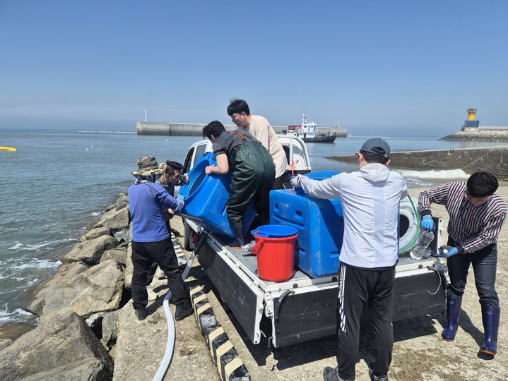 [수원=뉴시스] 친환경 토종 대하를 방류하고 있다. (사진=경기도 제공) 2026.05.14. photo@newsis.com *재판매 및 DB 금지