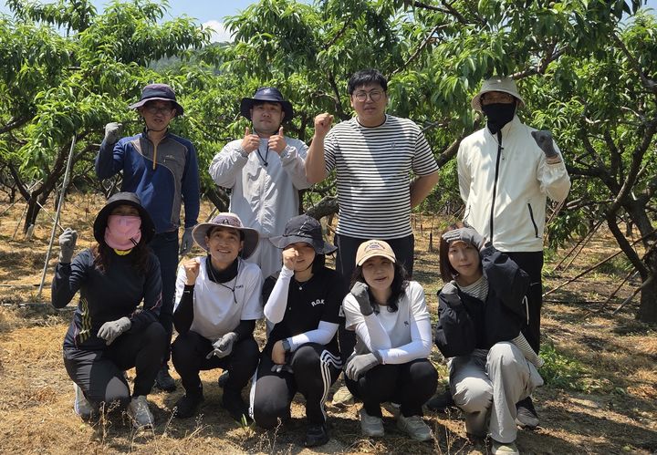 [김천=뉴시스] 관광정책과 농촌 일손돕기. (사진=김천시 제공) 2026.05.15 *재판매 및 DB 금지
