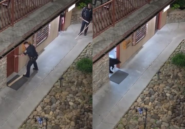 [서울=뉴시스] 경찰이 화장실 문을 열었고(왼쪽) 안에 있던 흑곰이 문밖으로 빠져나오고 있다(오른쪽). (사진=인스타그램 '@outkickoutdoors' 캡처) 2026.05.15. *재판매 및 DB 금지