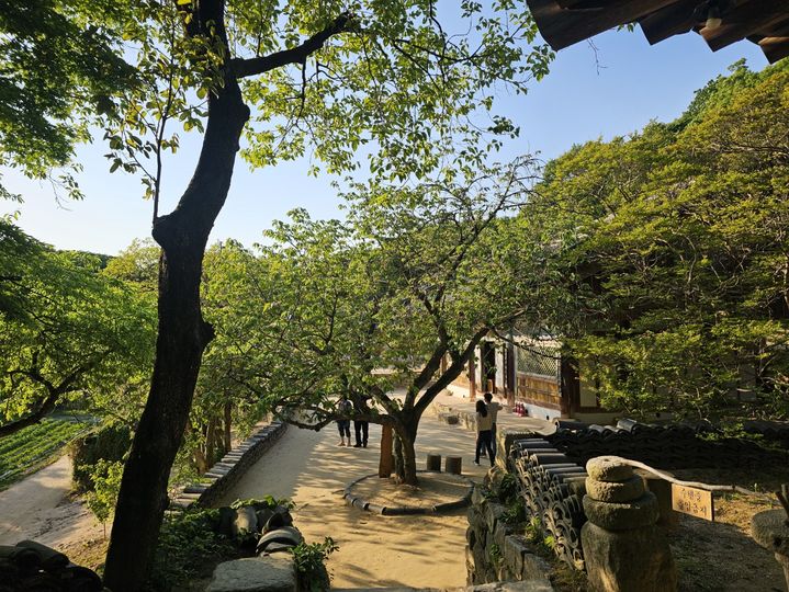 충남권 아침 최저 10도·낮 최고 31도…미세먼지 '보통'