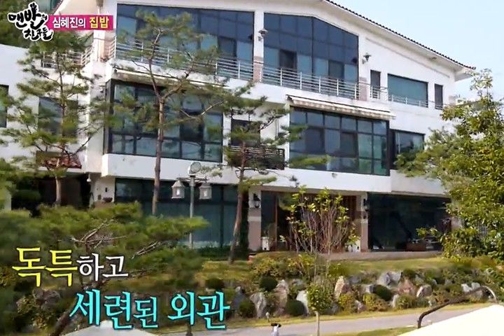 심혜진, 가평 3000평 전원주택 정리…"서울 근교로 이사"