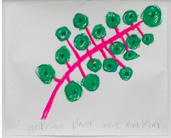 <unknown plant> Oil on Korean paper, 2025 *재판매 및 DB 금지