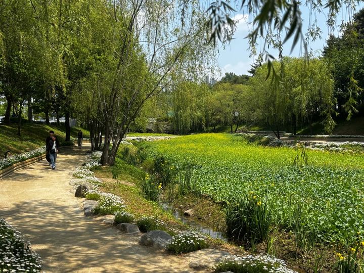 [순천=뉴시스] 순천시 조례 호수공원 하천 및 산책로 정비. (사진=순천시 제공) 2026.05.18. photo@newsis.com *재판매 및 DB 금지