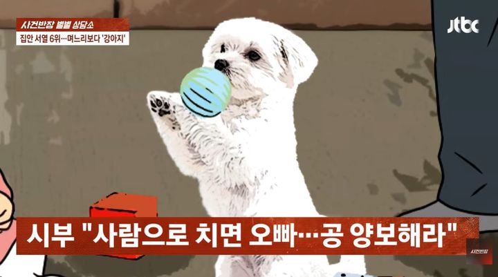[서울=뉴시스] 반려견을 아끼는 시아버지에게 서운함을 느낀다는 며느리의 사연이 전해졌다. (사진=JTBC '사건반장' 유튜브 캡처) *재판매 및 DB 금지