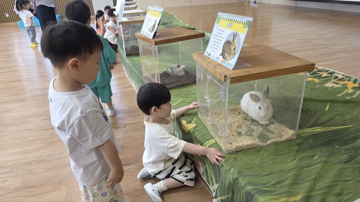 [화성=뉴시스] 화성시 하길유치원 원아들이 찾아오는 동물원 체험에 참여하고 있다. (사진=화성오산교육지원청 제공) 2026.05.19. photo@newsis.com *재판매 및 DB 금지