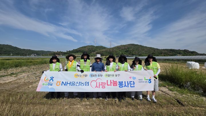 [울산=뉴시스] 농협중앙회 울산본부(본부장 이종삼)는 19일 울주군 청량읍 덕하리의 한 양파 재배 농가를 찾아 수확을 도왔다고 밝혔다. (사진= 울산농협 제공) 2026.05.19.photo@newsis.com *재판매 및 DB 금지