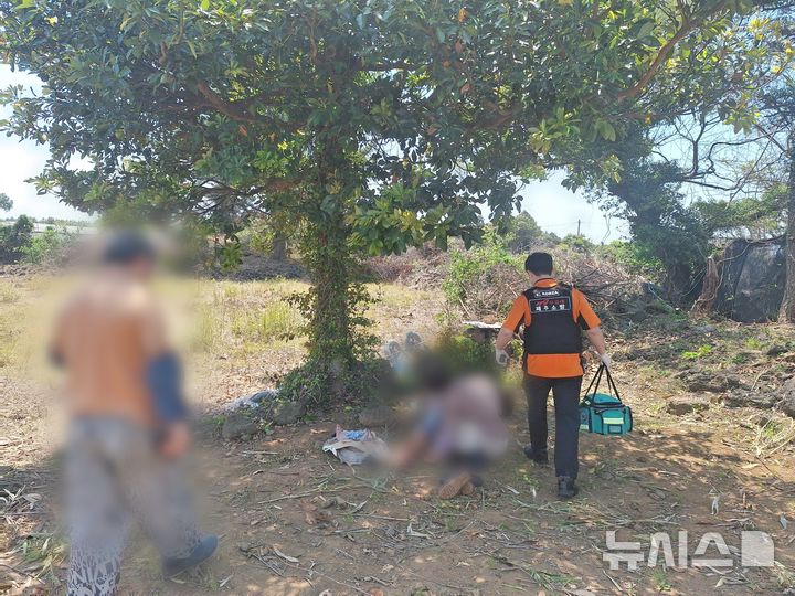 [제주=뉴시스] 16일 오후 제주시 한경면 소재 밭에서 소방당국이 50대 온열질환자에 대해 응급처치를 하고 있다. (사진=제주소방안전본부 제공) 2026.05.19. photo@newsis.com