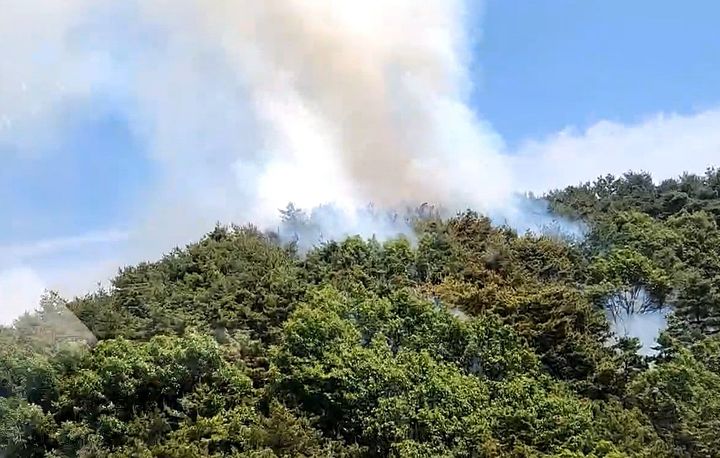 [고령=뉴시스] 19일 낮 12시16분께 경북 고령군 성산면 어곡리 한 야산에서 불이 났다. (사진=산림청 제공) 2026.05.19. photo@newsis.com *재판매 및 DB 금지