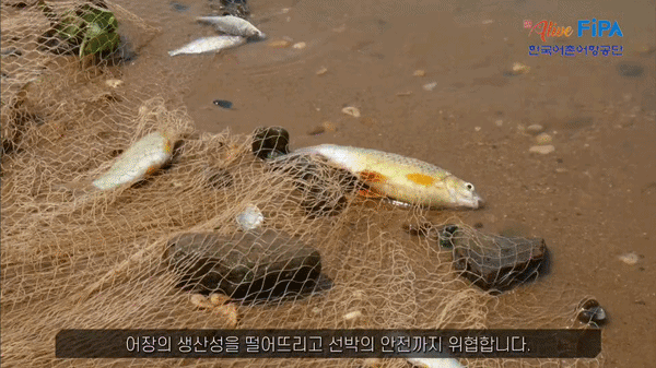 폐어구에 걸린 물고기와 해양 쓰레기 (사진 = 한국어촌어항공단 유튜브 갈무리) *재판매 및 DB 금지