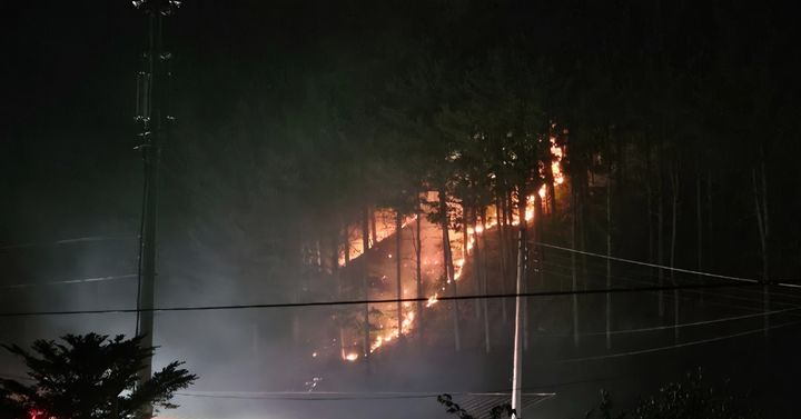 [홍천=뉴시스] 19일 산림당국은 이날 오후 10시13분께 강원 홍천 내면 자운리 한 사유림에서 불이나 1시간5분만에 진화됐다고 밝혔다. 강원특별자치도 산블방지센터 제공. *재판매 및 DB 금지