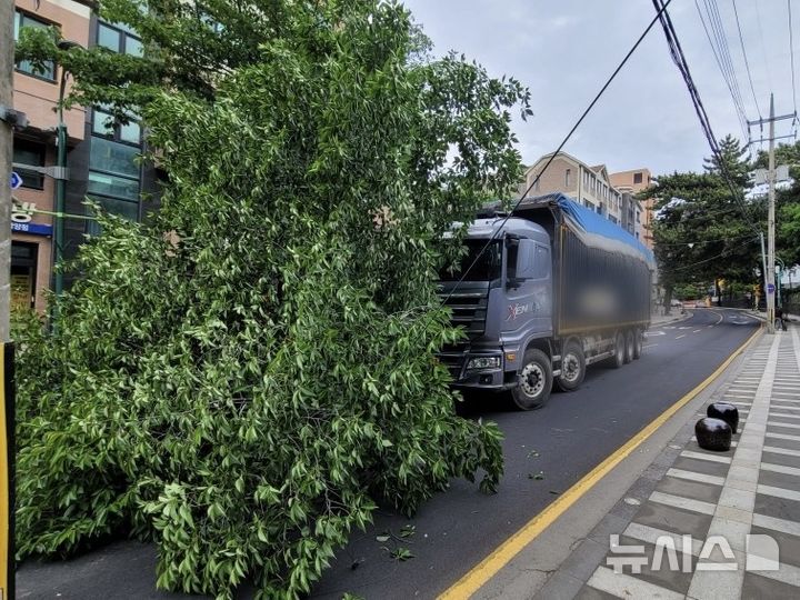 [제주=뉴시스] 20일 오후 제주시 삼도동 소재 전농로에서 트럭과 왕벚나무가 충돌해 소방당국이 수습에 나서고 있다. (사진=제주소방안전본부 제공) 2026.05.20. photo@newsis.com
