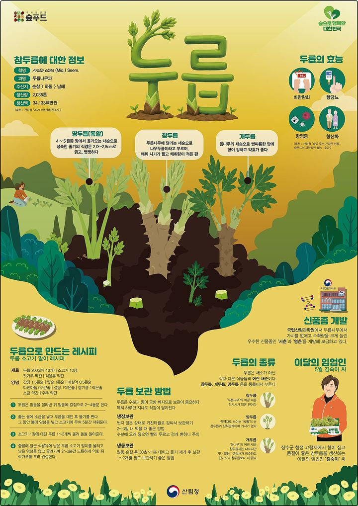 [대전=뉴시스] 5월 이달의 임산물로 선정된 '두릅'.(사진=산림청 제공) *재판매 및 DB 금지
