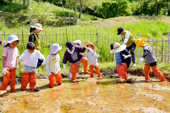 [통영=뉴시스] 신정철 기자= 통영시지속가능발전교육재단은 20일, 통영여자중학교, 죽림초등학교 1학년, 세자트라숲 가르치지않는학교, 관내 일반시민 참가자 등 총 54명이 함께한 가운데, 다랭이논 손모내기 체험을 실시했다.사진은 죽림초등학교 1학년 모내기 준비 모습.(사진=통영RCE 제공).2026.05.20. photo@newsis.com *재판매 및 DB 금지
