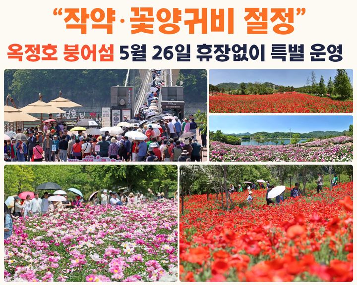  *재판매 및 DB 금지